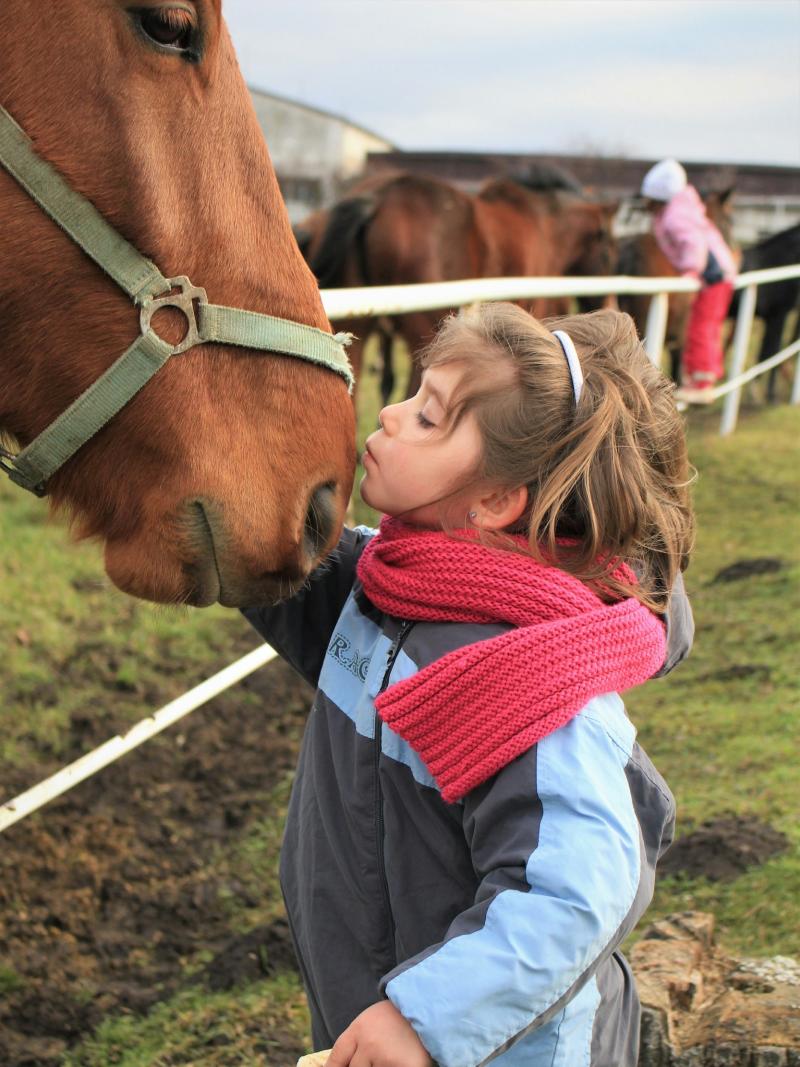 Cavall i nena fent un petó