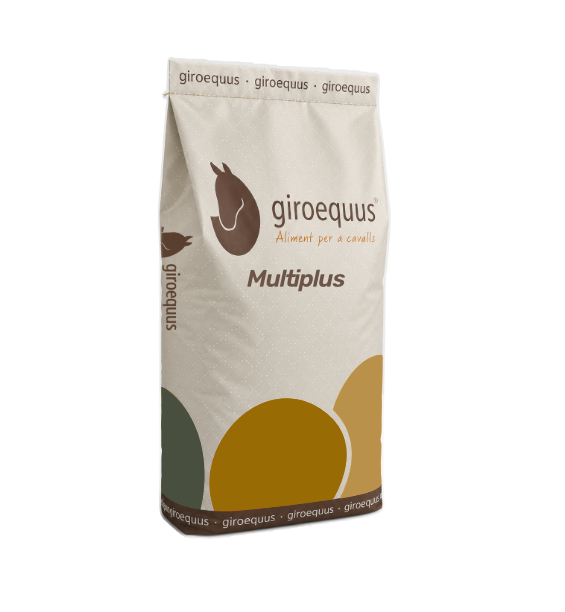 Giroequus Multiplus